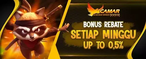 Cashback Mingguan Hingga 0.5% untuk Pemain VIP promotion